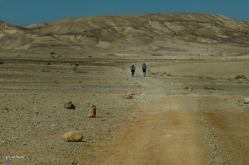 דירות ערד תמונה במדבר מראה חיצוני תמונה